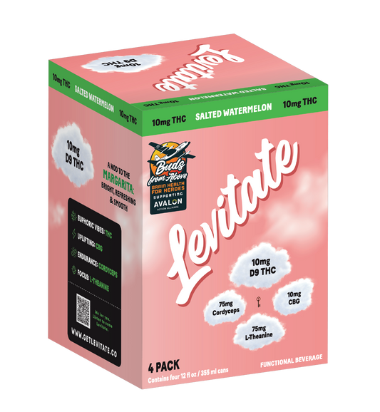 Full Case - 10 MG Levitate - Salted Watermelon (24x 12oz Cans)