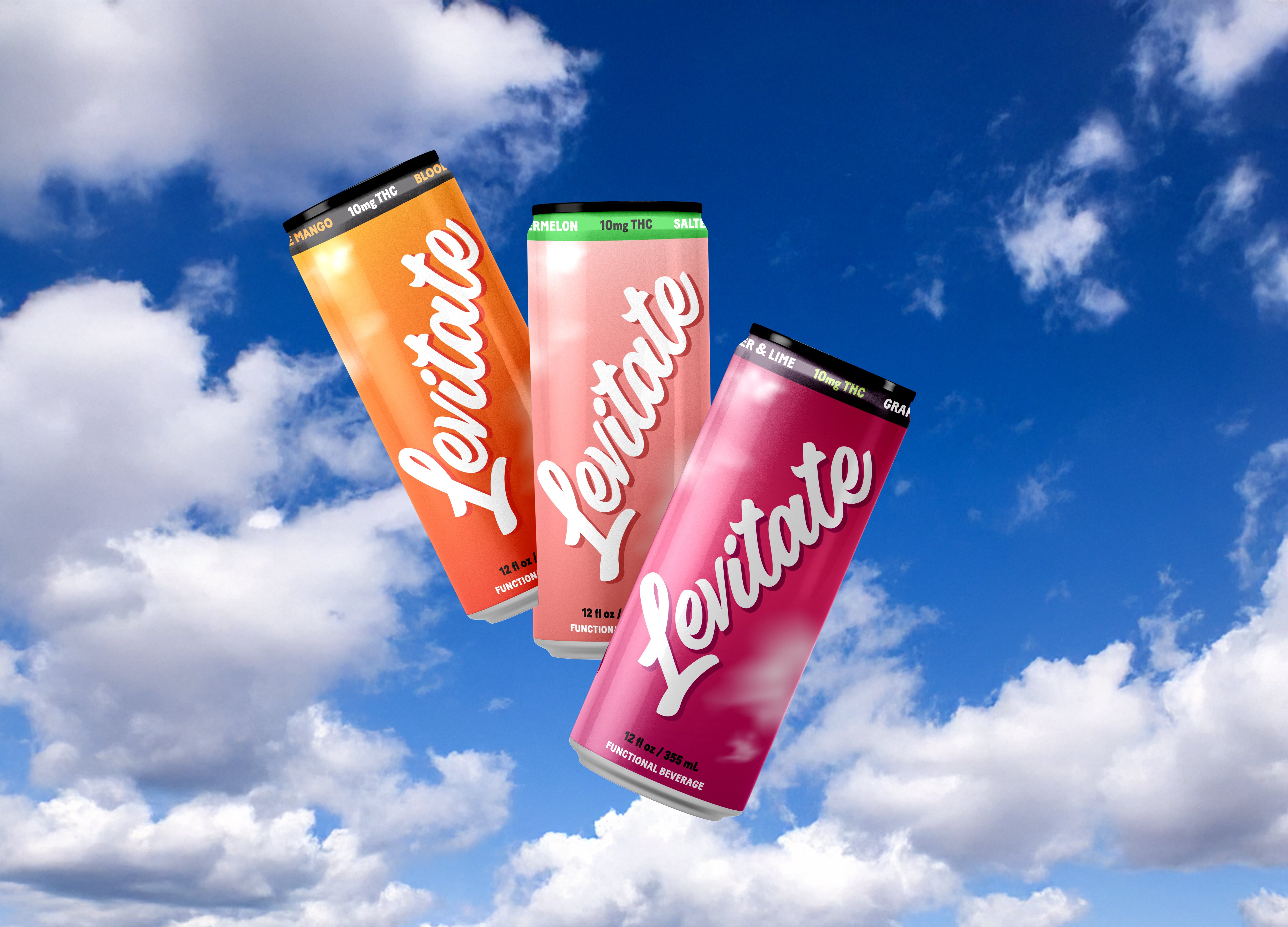 Full Case - 10 MG Levitate Variety Pack - 8x cans of each flavor (24x